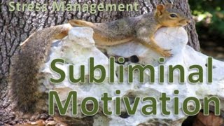 STGEC & CTRC: Subliminal Motivation (2016)