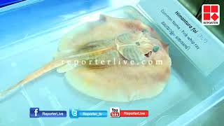 CENTRAL MARINE FISHERIES RESEARCH INSTITUTE│Reporter Live