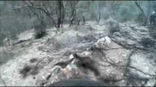 Windy Point Downhill Run
