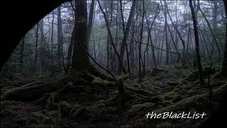 8. theBlackList - Trasa (nie)ekspresowa (prod. KHVN)