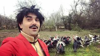 Qulu felaket