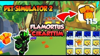 ? FLAMORTUS ÇIKARTTIM EN GÜÇLÜ PET ? Pet Simulator 2 / Roblox Türkçe