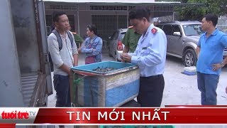 ⚡ Tin mới nhất | Phát hiện vụ vận chuyển hơn 200 kg tôm bơm tạp chất
