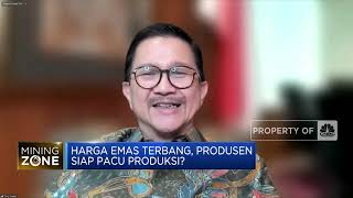 Intip Target Produksi Freeport Kala Harga Emas Meroket