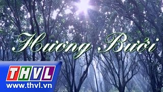 Hương bưởi - Tập 17