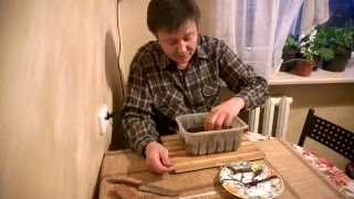Размножение ежевики корневыми отводками или что делать садоводу зимой