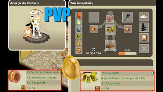 [Dofus Retro] Présentation futur Cra 200 PVP / Exo ? Ocre ? Parcho ? (Arty)