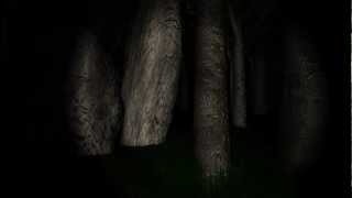 Let's Play Slender - 1 - Nope