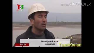 Навид 24.01.2017.