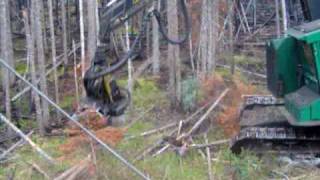 Abatteuse 608s Timberjack Manic 5 Bois brulé !