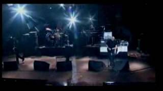The Stranglers - Valley of the birds (live)