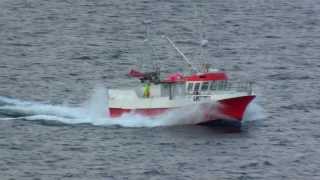 Selfa 40 Speed Harstad