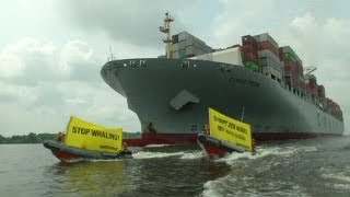 Caccia alla balene, Greenpaece ferma una nave ad Amburgo