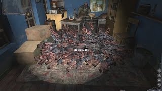 S.T.A.L.K.E.R. Чистое небо : Баг на винтарь-ВС (Винторез)