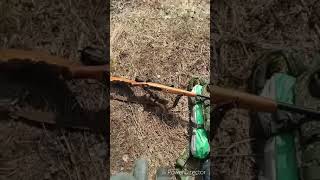 Пристрелка иж-56 "белка" и соболь