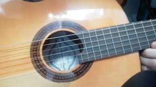 DOS FALSETA DE SOLEÁ CON GUITARRAS DE MONTERO Y TAKAMINE