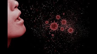 Израиль первым в мире выйдет из пандемии COVID-19?