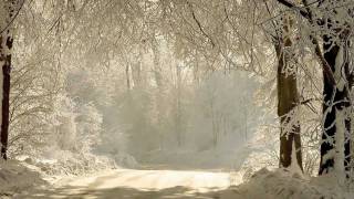 Chi Mai ~Ennio Morricone~