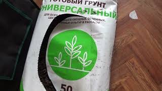 Какой грунт для рассады я использую в этом году? Снова дешевый из магазина!