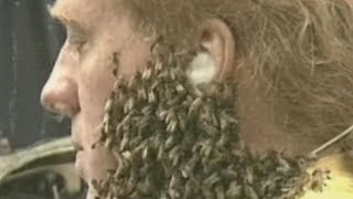 Bee Man