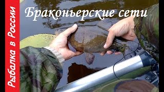 Браконьерские сети. Рыбалка на лесном озере. Линь отпущен )