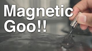 DIY Magnetic Goo!!