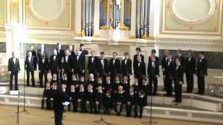 Viva La Vida (Coldplay). Stockholm choir boys.