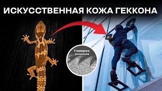 Этот материал позволяет ползать как геккон [Veritasium]