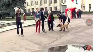 Раньше было лучше