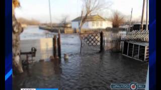 В Адамовском районе оказались подтопленными жилые дома