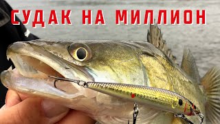 Финальное противостояние года по ловле трофейного судака на спиннинг (троллинг VS джиг) Ахтуба/Волга