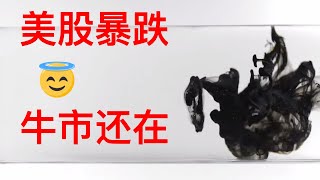 美股暴跌 牛市还在