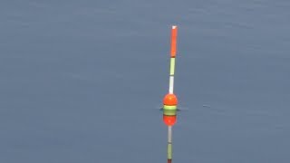 Ловля карася на поплавочную удочку. My fishing