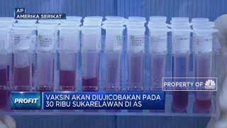 Uji Coba Vaksin Covid-19 Fase 3 di AS Libatkan 30 Ribu Sukarelawan