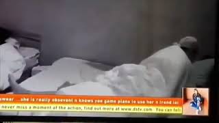 Mercy and Ike ???? under the duvet