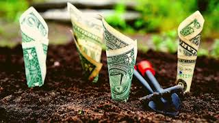 3 Ways To Raise Your MONEY MINDSET | Manifest ABUNDANCE MINDSET