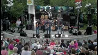 CHIMES OF FREEDOM Blood On The Tracks Live GUITARS FOR VETS