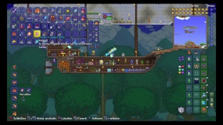 Terraria
