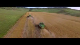 Жерін сатқан, арын сатады | Арын сатқан, бәрін сатады.. ᴴᴰ