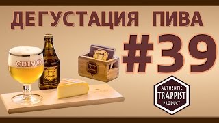 Дегустация пива #39 - бельгийский Chimay dorée! Кто такие трапписты? 18+