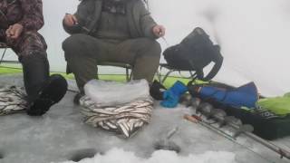Зимняя рыбалка на Сахалине. Малоротка. река Шешкевича. 11.12.2016 Часть 3