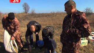На Днепропетровщине охотники выпустили фазанов в дикую природу