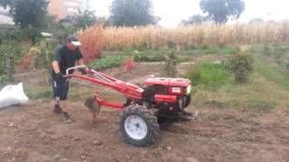 Motocultivator Forte 10 cai putere la scos cartofi
