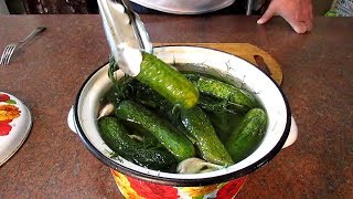 Малосольные огурцы, быстрый рецепт. Готовим 3 МИНУТЫ, едим через 12 часов / Мужские закуски