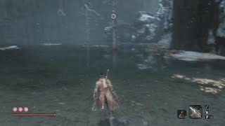 Sekiro : I broke the Guardian  Ape!