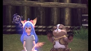 Tera Online / Inventory Pet Overview