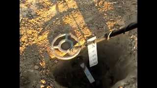 Wykrywacz Teknetics Eurotek Pro test w terenie.Cewka 8".