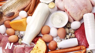 Protein & Puberty