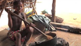 Saving the monkey of Mende Town