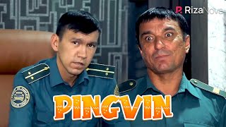 Gorilla - Pingvin